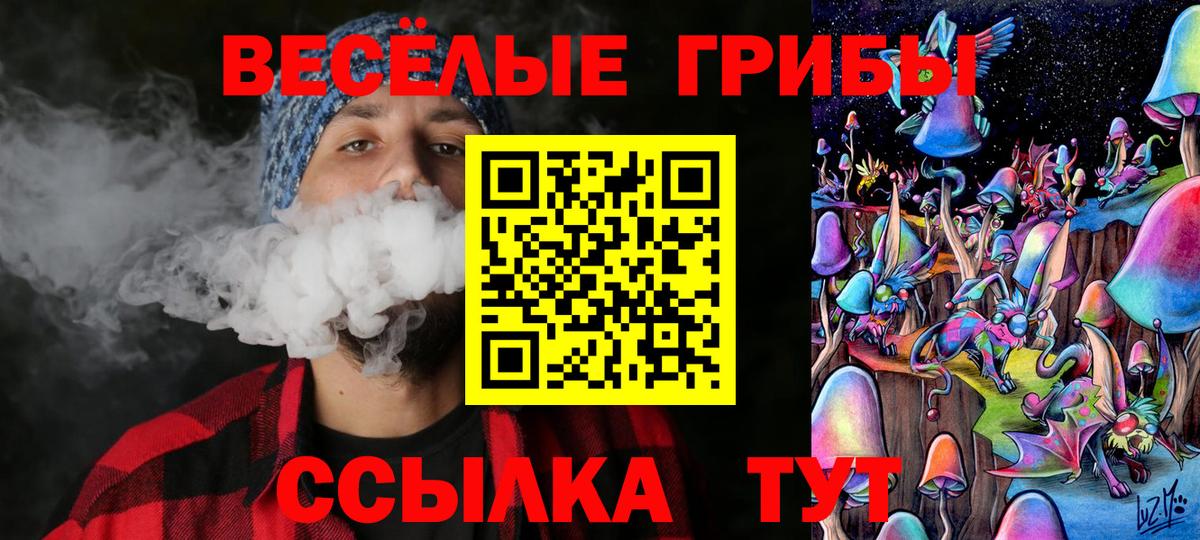 Псилоцибиновые грибы мицелий Изобильный