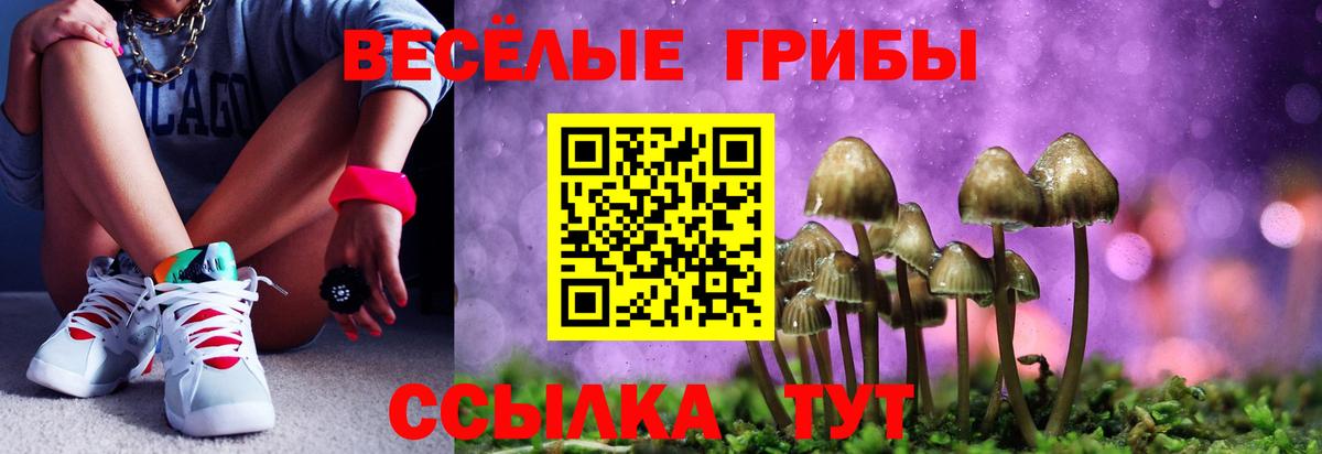 Псилоцибиновые грибы Psilocybine cubensis  Вход с VPN  Галлюциногенные грибы Psilocybine cubensis  Изобильный 